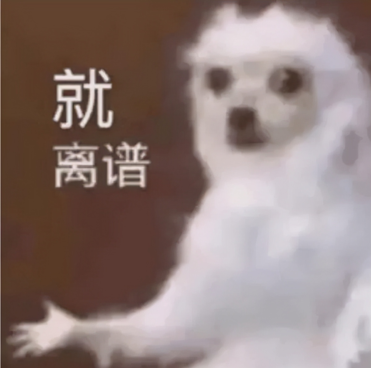 过年必买的10种年货推荐,有什么事年后再说