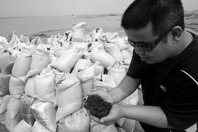 海滩撸铁棒违法吗,撸铁棒一天赚百元背后的秘密