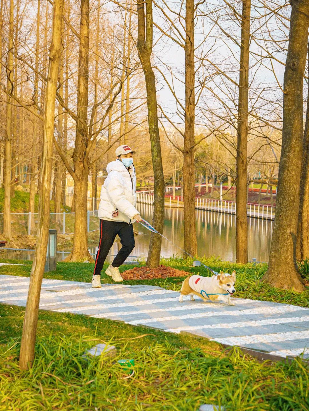 魔都宠物天地,魔都周边宠物友好景区