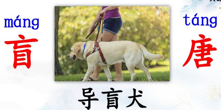 三年级上册语文课后练习题及答案,部编版语文三年级下册课后习题