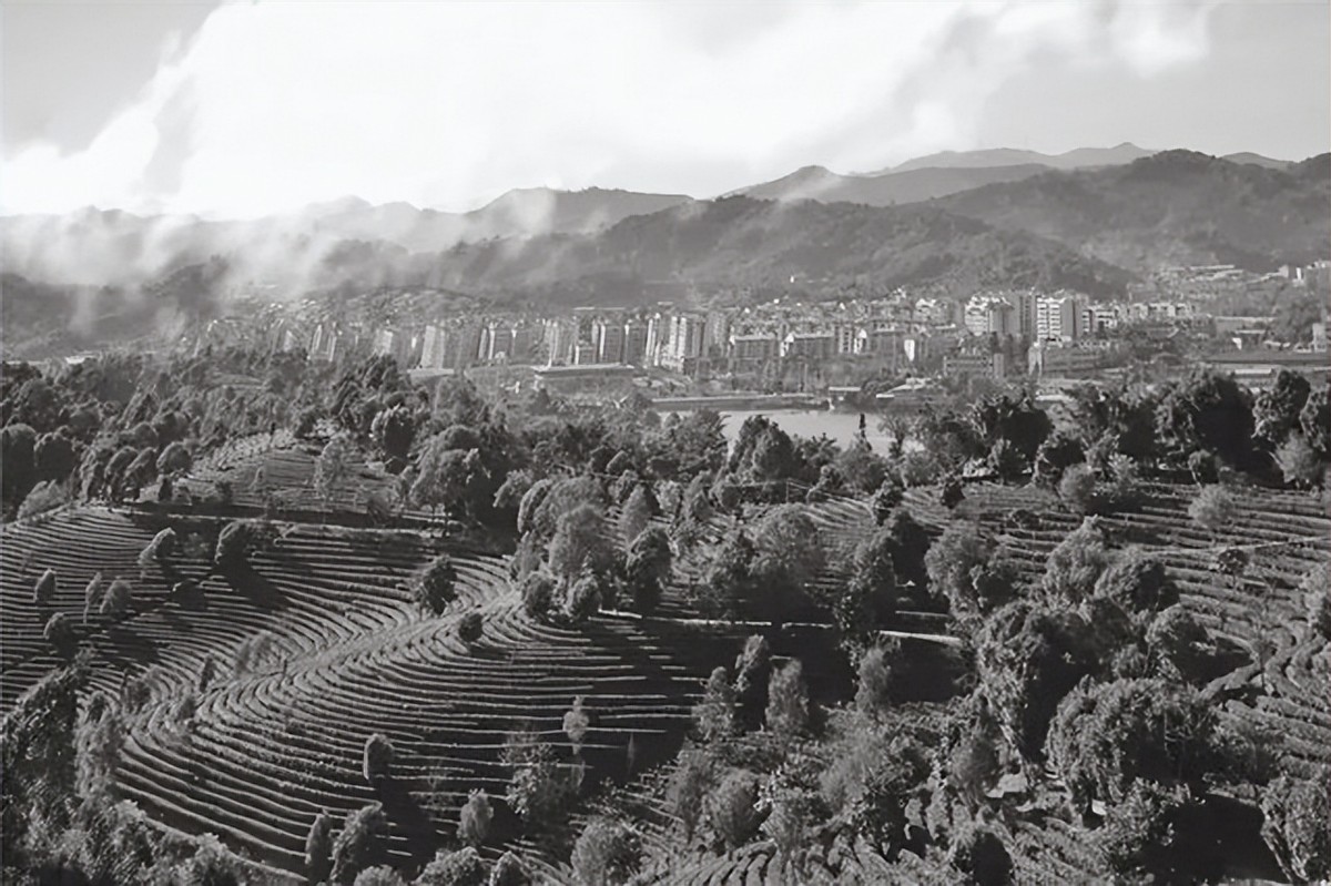 毛主席是始祖毛太华第20代子孙，毛太华是哪里人呢？