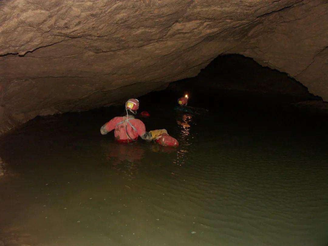 亚马逊雨林发现的15个恐怖生物,亚马逊热带雨林到处都恐怖吗