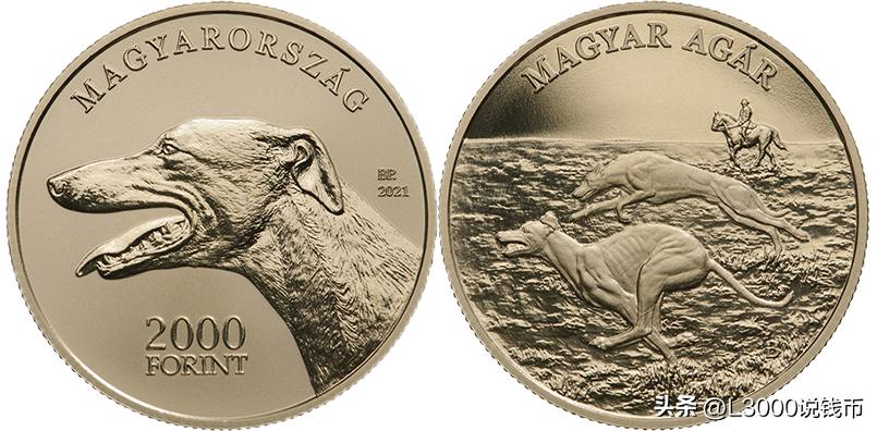 周末星光秀,周末星光夜市