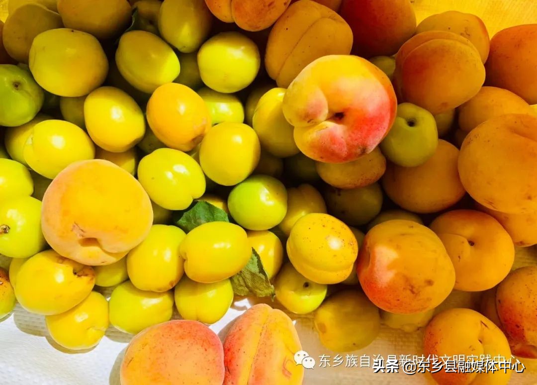 美文欣赏黄山,美文欣赏冬日暖阳