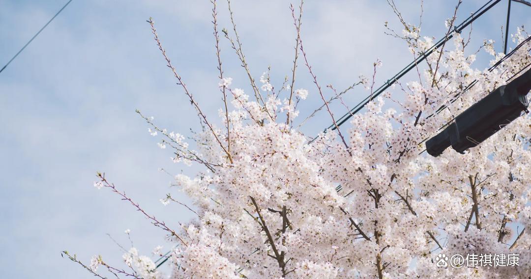 晚餐该怎么吃才是最健康的,晚餐怎样吃才营养健康