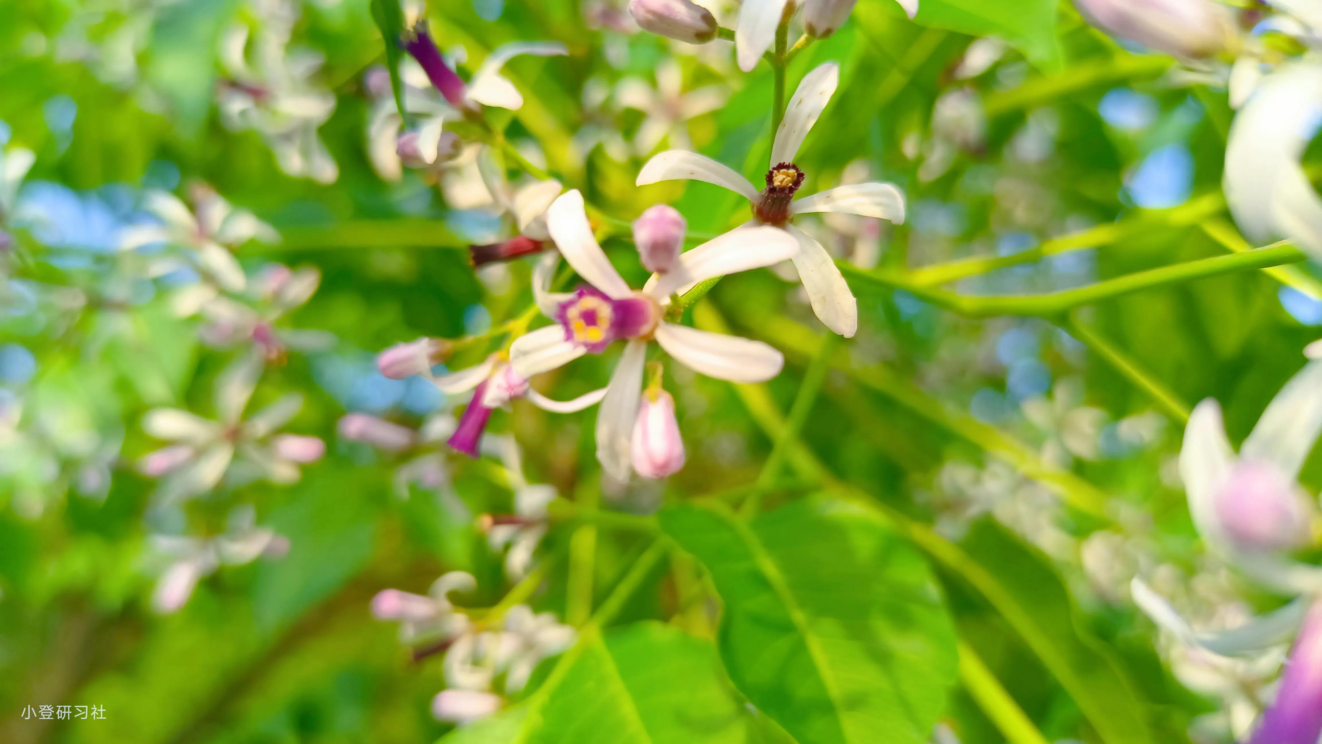 了解市场是什么意思,对茶饮市场的了解