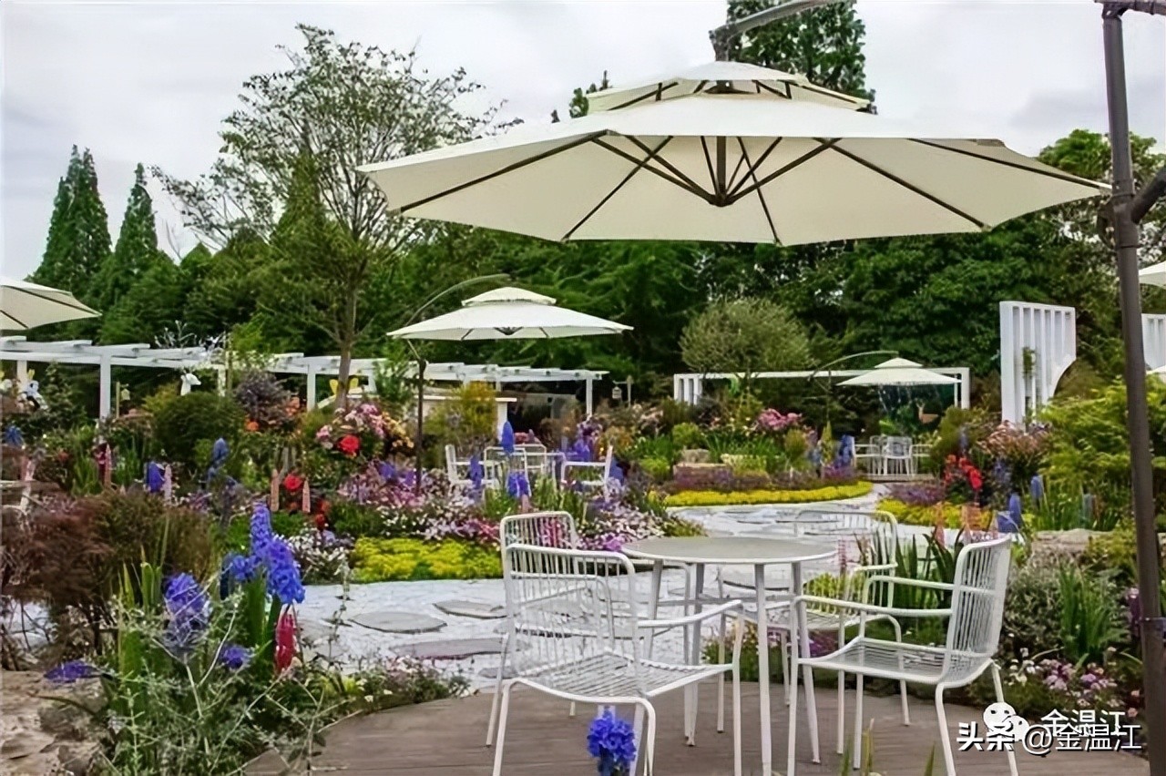 五一温江有什么活动,五一来温江