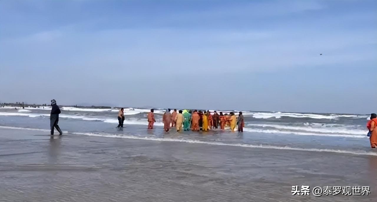 烟台赶海人一晚捞千余斤海肠吃,男子通宵赶海捡80斤海肠