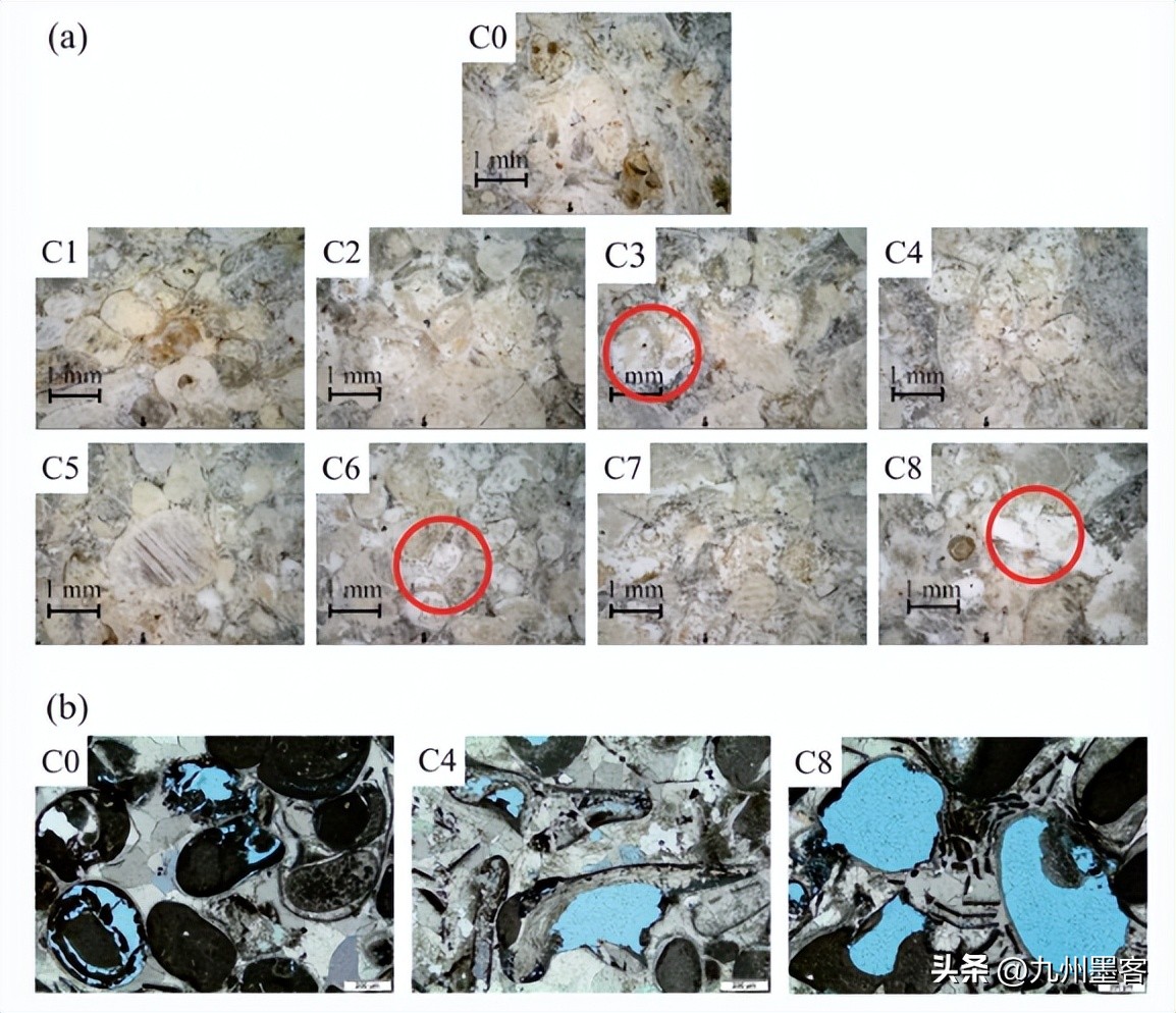 研究纳米石灰处理对Clipsham石灰石干燥动力学的影响