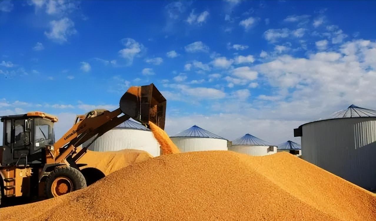 俄开发海参崴对俄国影响,俄罗斯向我国开放海参崴港口吗