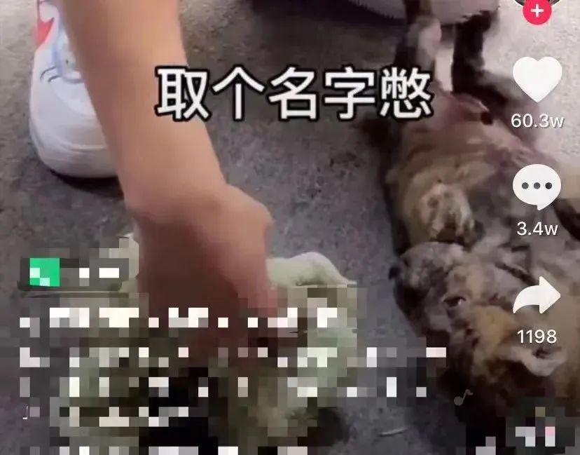 “账号”还是“帐号”?这些字,多少人写错了→