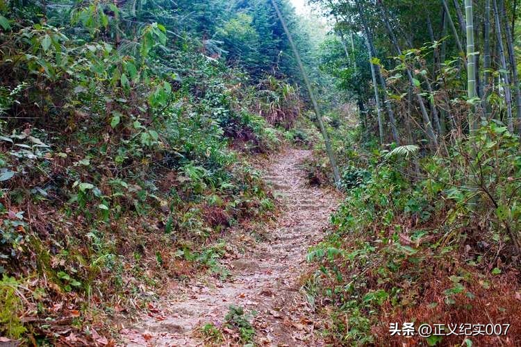 12岁女孩上山割蒿草却遭哑巴袭击,12岁女孩上山割草遭遇袭击