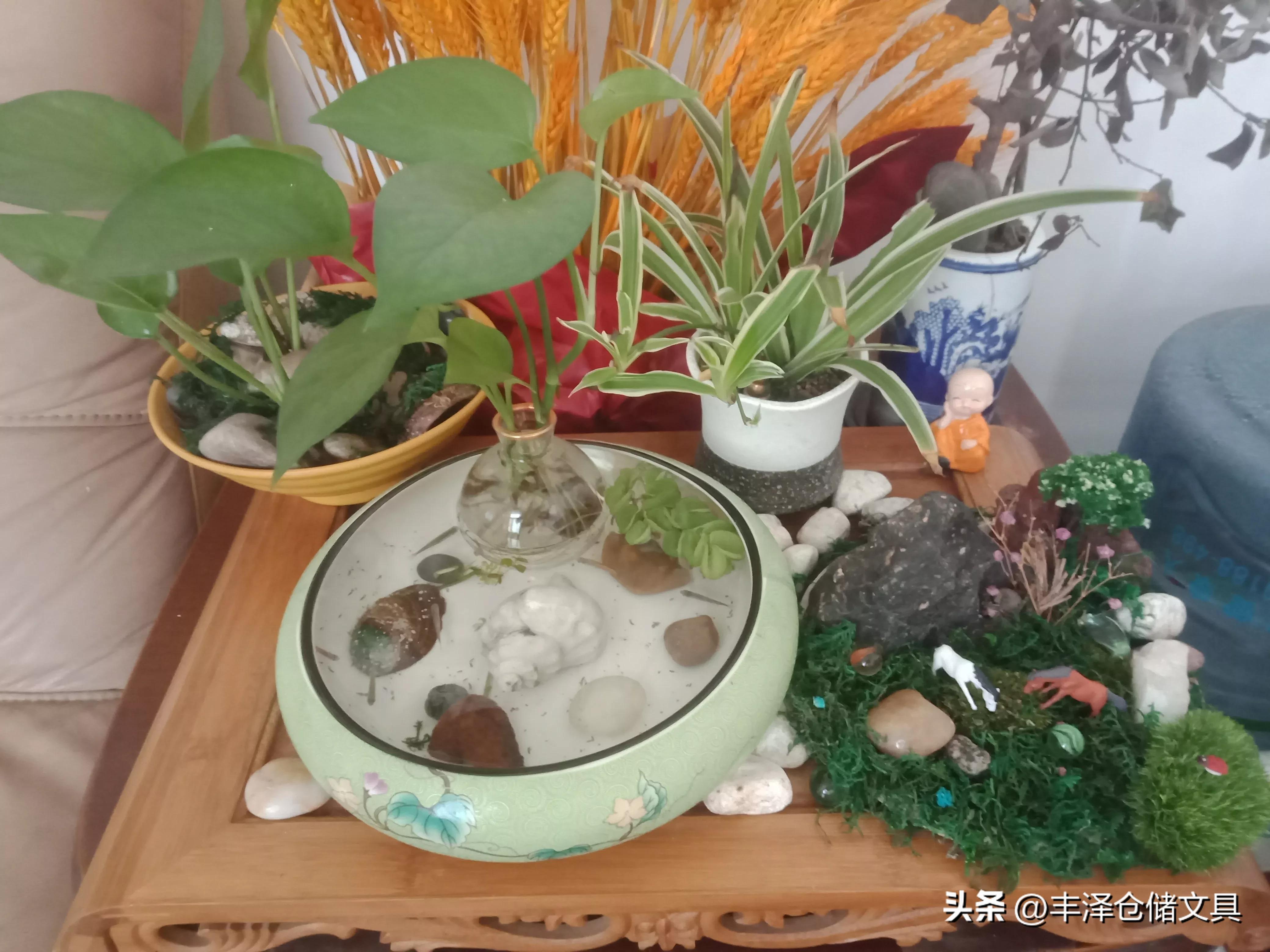 其实有时候你需要的是不离不弃,不离不弃的另外一种表达方式