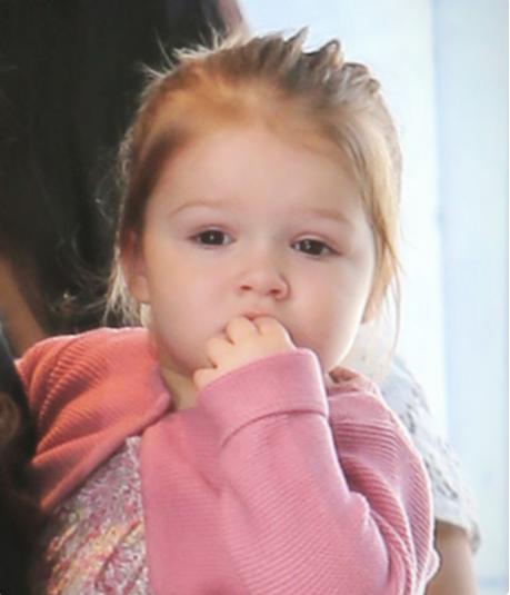 贝小七变成小才女,最会投胎的小公主