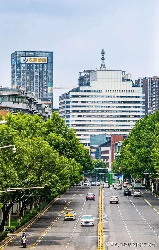 汉阳有哪些地方,汉阳有多大