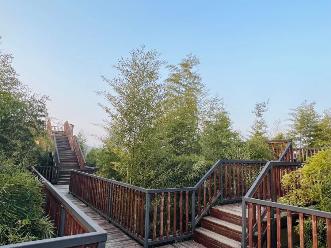 到咸宁看国宝过大年,离家45年的国宝回湖北咸宁过年