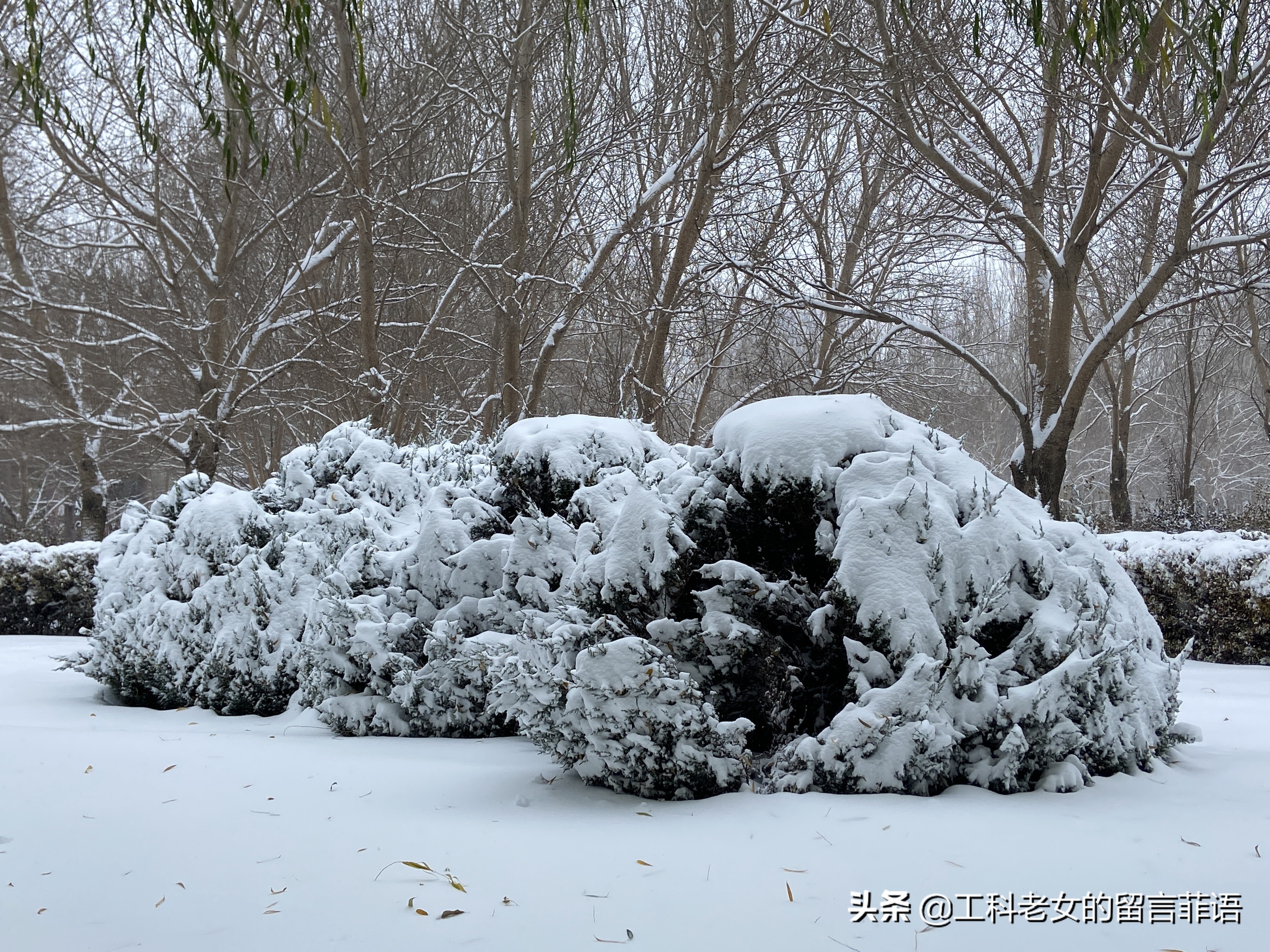 沈阳大雪压塌停车场,沈阳大雪堆雪人