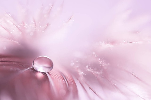 人生感到迷茫的时候,人生面临着迷茫