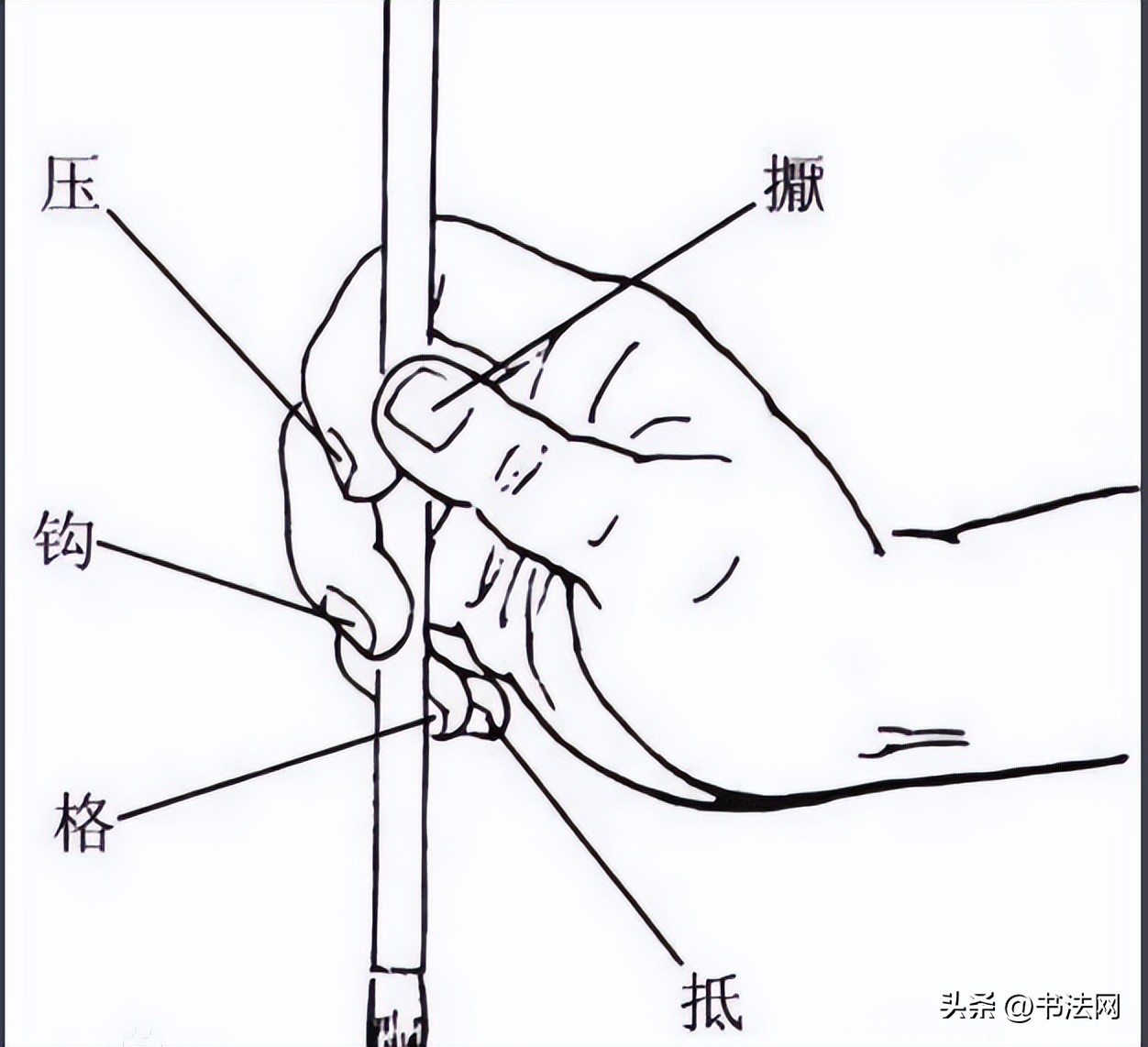 毛笔的执笔方法正确的三个标准,毛笔书法执笔方法和用笔方法技巧