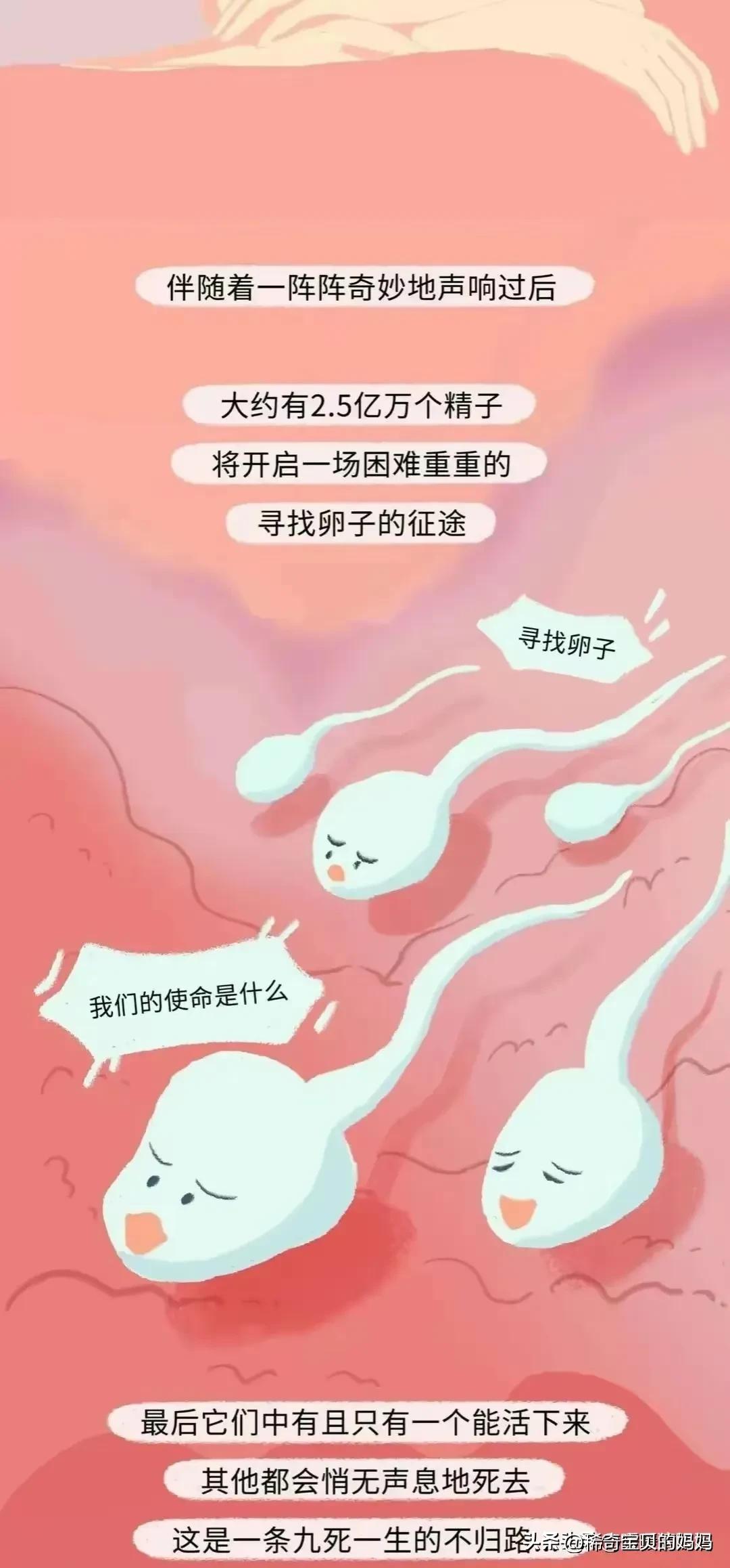 小蝌蚪漫画,科普知识小蝌蚪怎么成长为青蛙