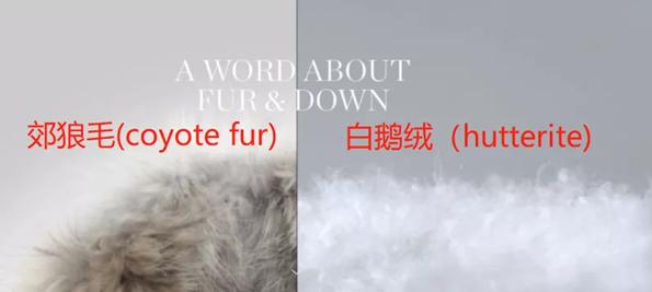 加拿大鹅虚假宣传后续,加拿大鹅暴利