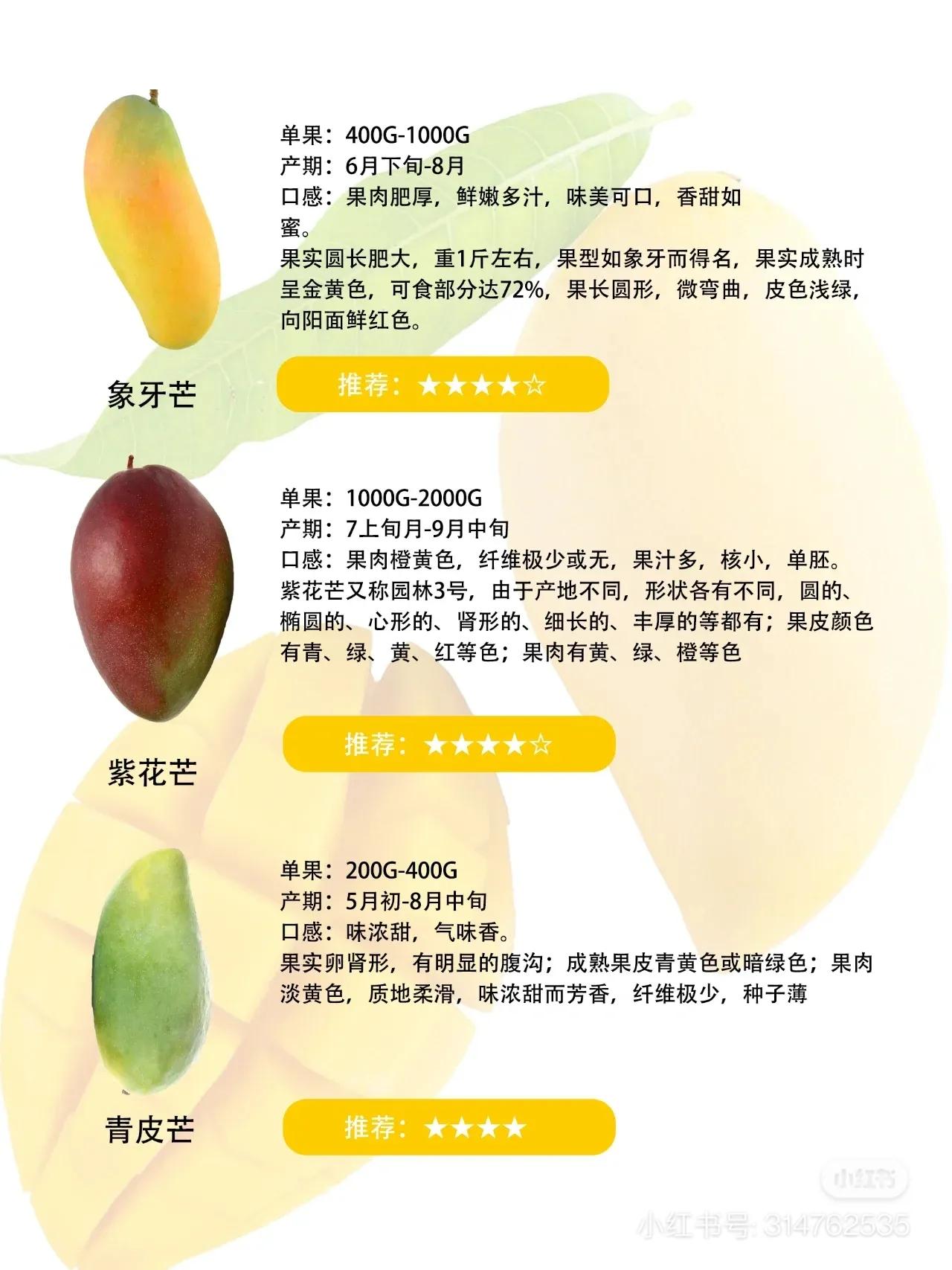 常见芒果的区别及口感,常见芒果的区别