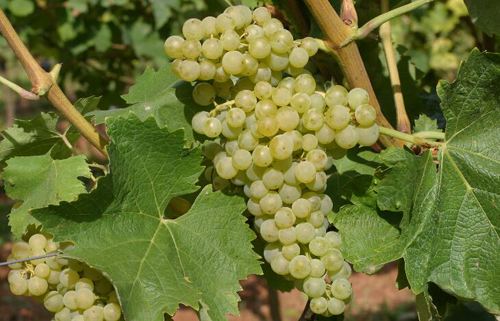 中国大百科全书阅读笔记,中国大百科全书读书笔记