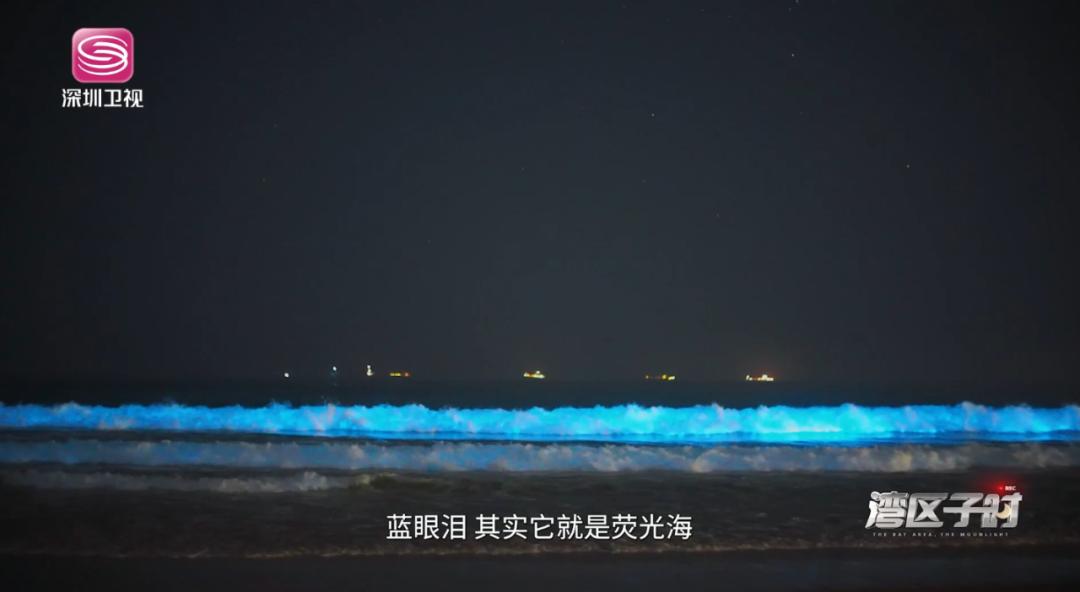 白天一起看海，晚上陪你数星星！这是什么宝藏工作？