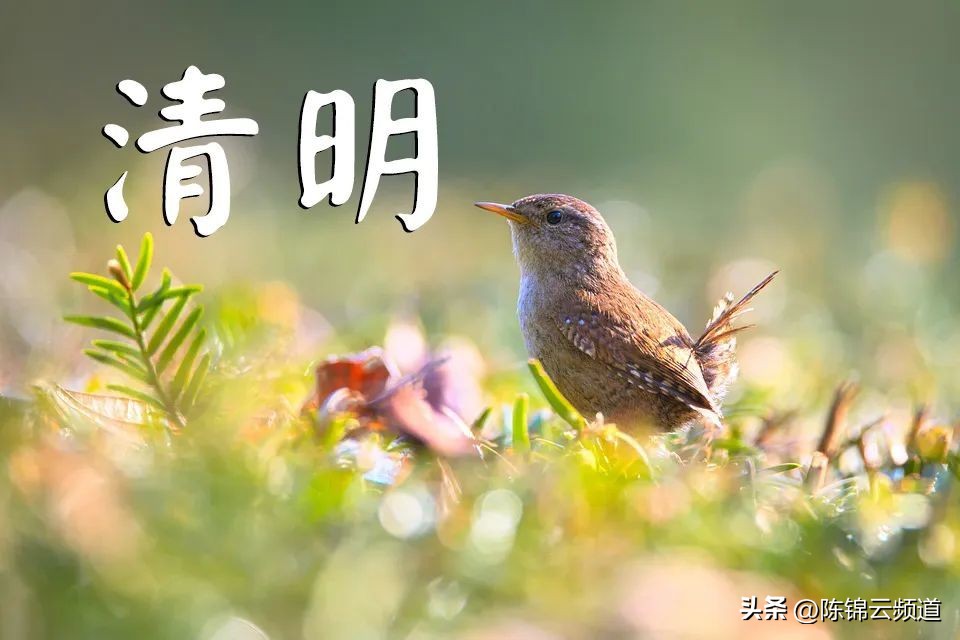 关于重阳节春节清明节的古诗,清明节积累关于传统节日的古诗词