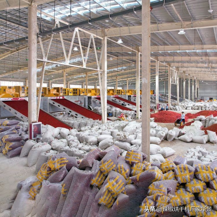 华景智农辣椒烘干机操作流程,大型辣椒烘干设备生产线