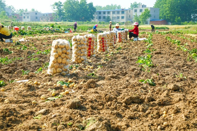 未来两年农村最有前途的四个生意,农村十大冷门暴利生意有哪些