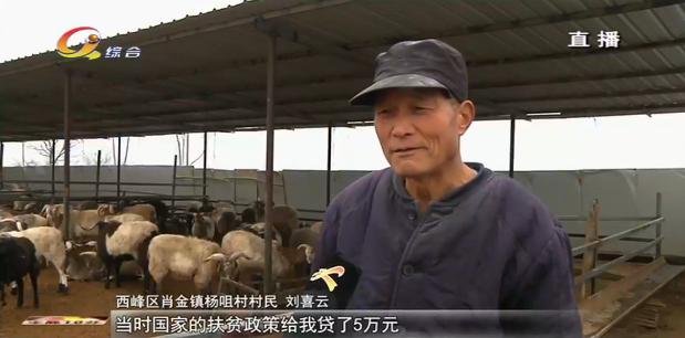 2020年4月份庆阳新闻头条,你好新闻