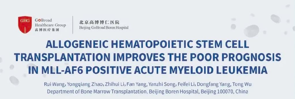 异基因移植成功率半相合,急性髓性白血病m3移植后基因阳性