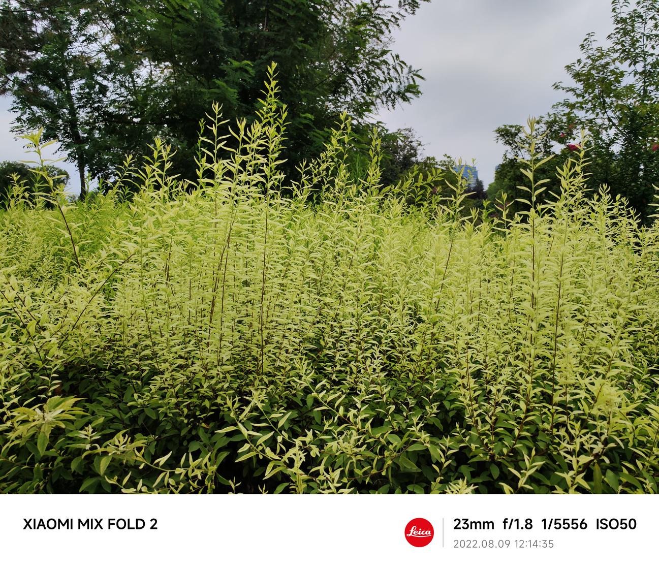 小米mixfold2最新消息,mixfold2