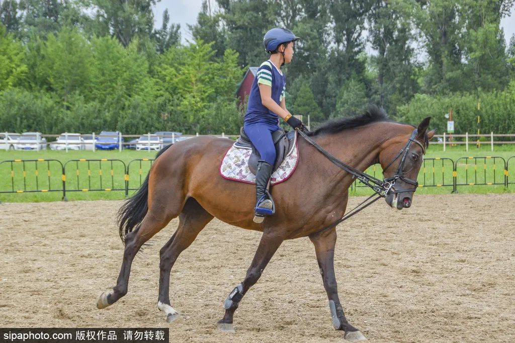 北京秋季采摘最全攻略,春日踏青采摘