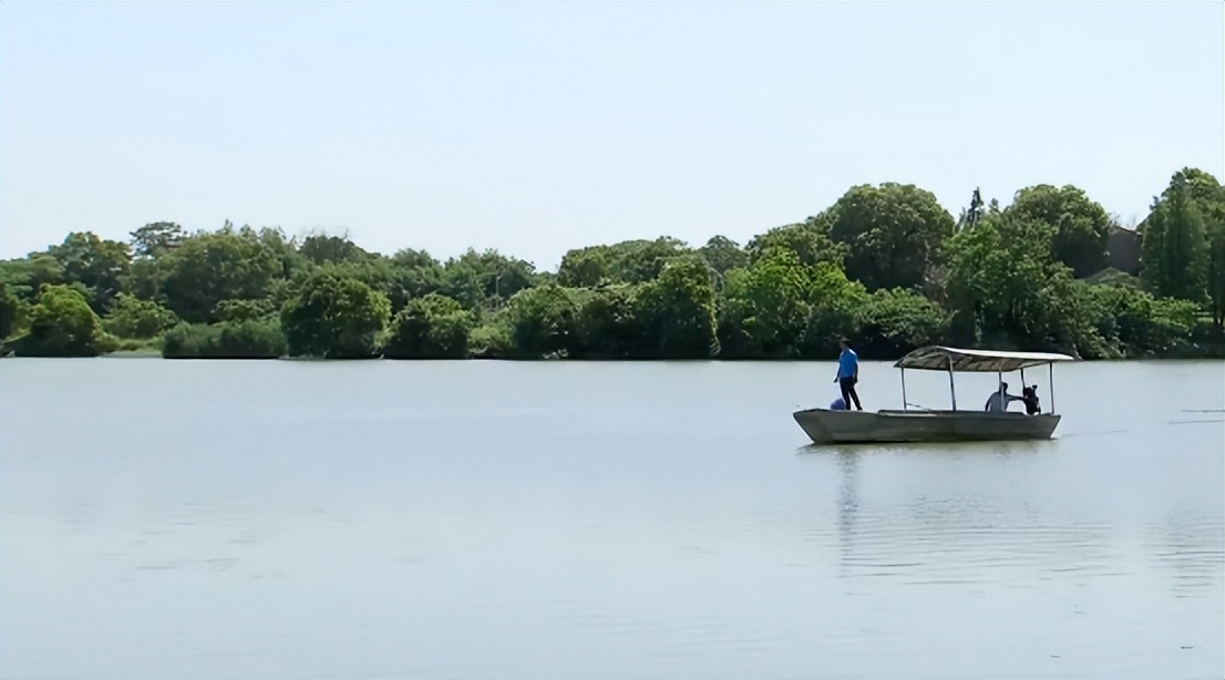 小伙养鱼一周赚100万,养鱼致富第二天目标赚十万