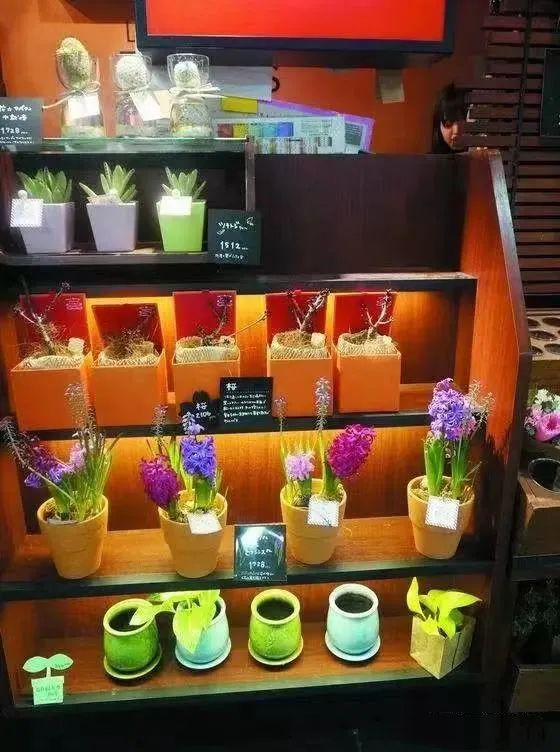 寮曢鑺辫壓娼祦鐨勫崄浜屽鑺卞簵,鏃ユ湰闈掑北鑺卞簵鍟嗕笟妯″紡