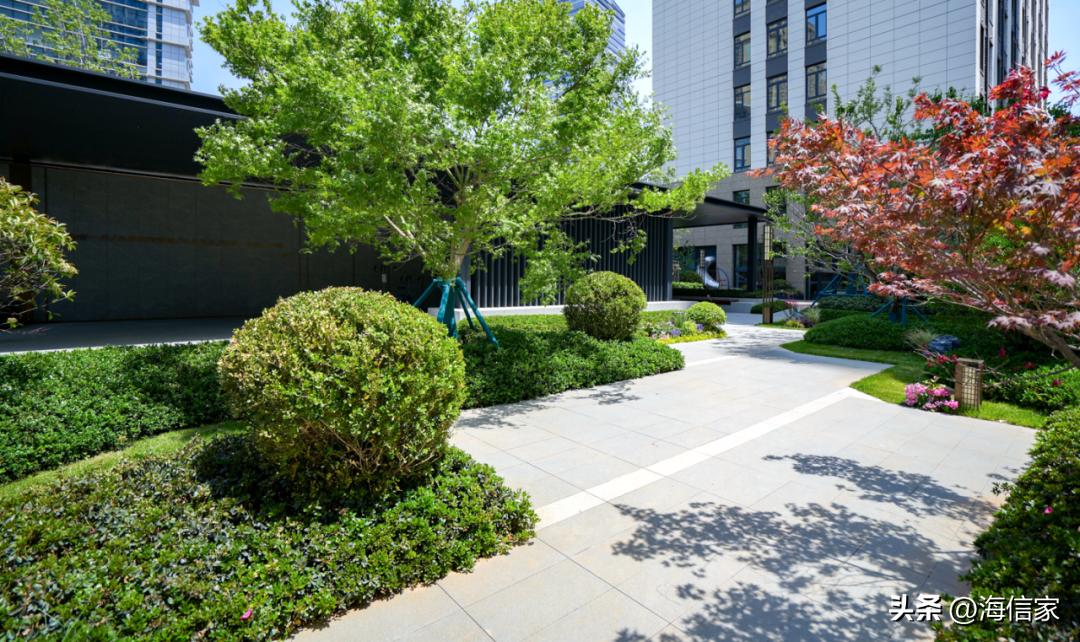 海信地产上半年交付3349户｜以信筑家塑造生活的品格