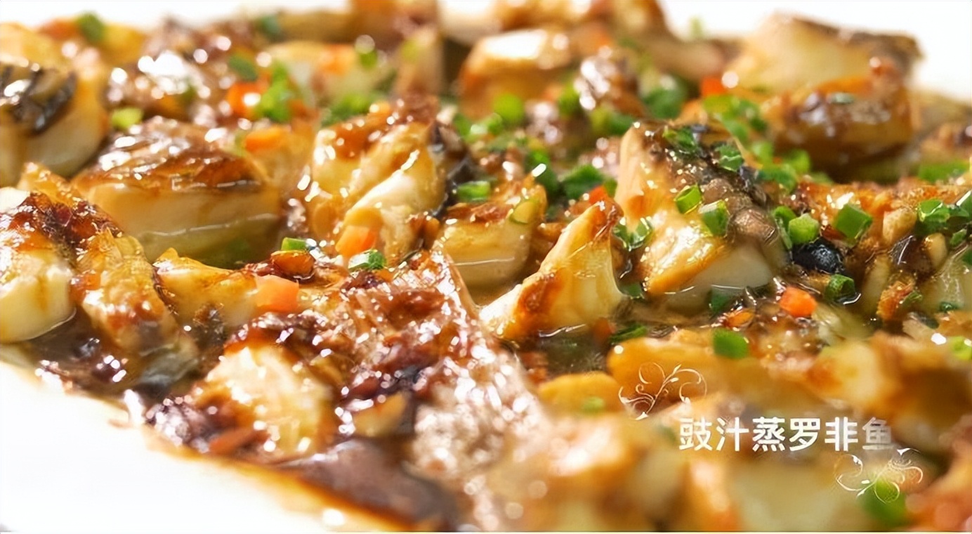 大湾区之珠海篇,2023优秀华裔大学生走进大湾区