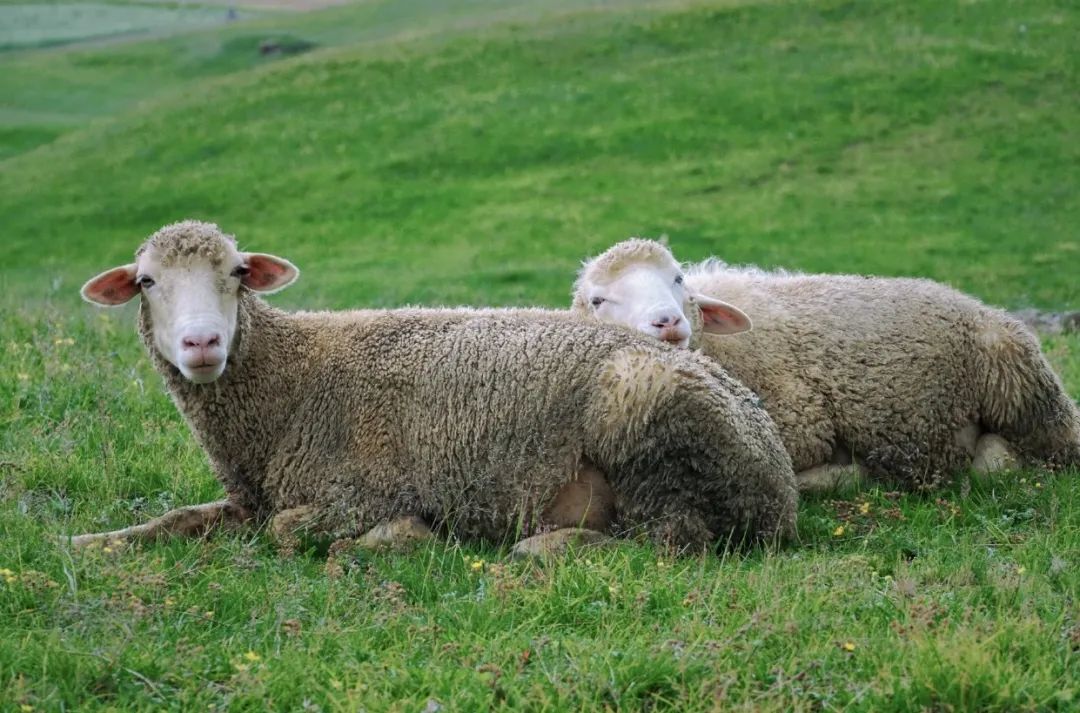 昭通大山包一览众山,昭通市昭阳区大山包乡