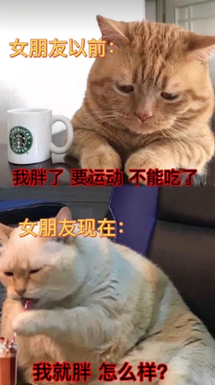 NO.3今日笑话不懂就问，老师的副业真都这么有趣吗