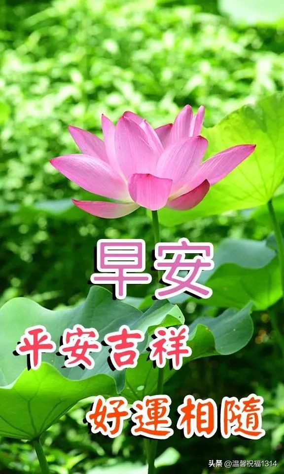 最寒冷的冬天温馨的早安问候图片,冬天最佳早安问候语图片