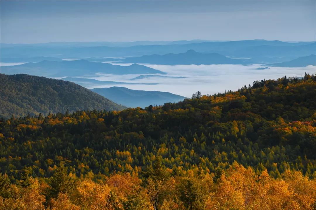 大美依兰,大美依兰游玩视频