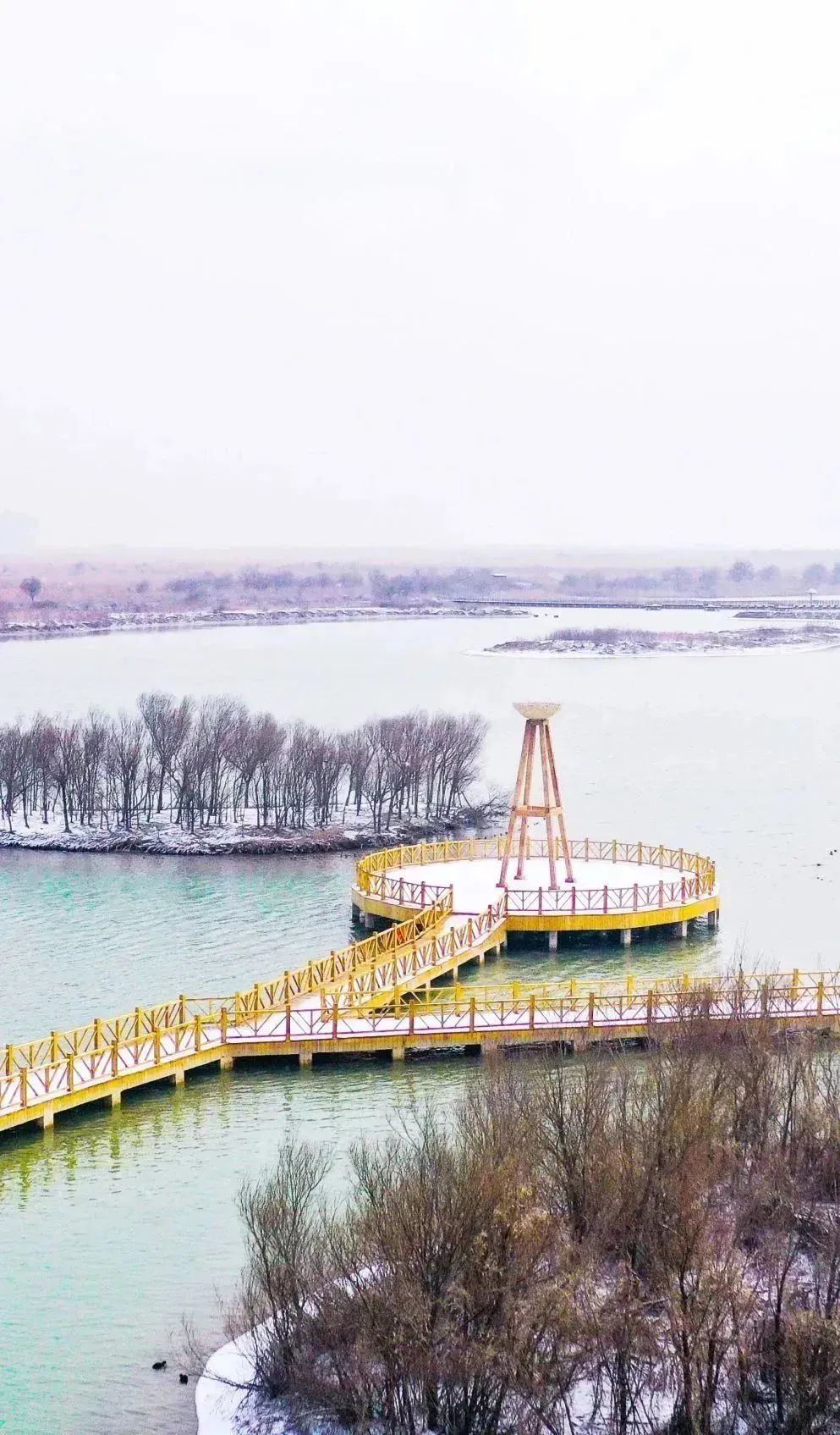 冬天100张绝美雪壁纸,好看的雪壁纸图片全屏高级感
