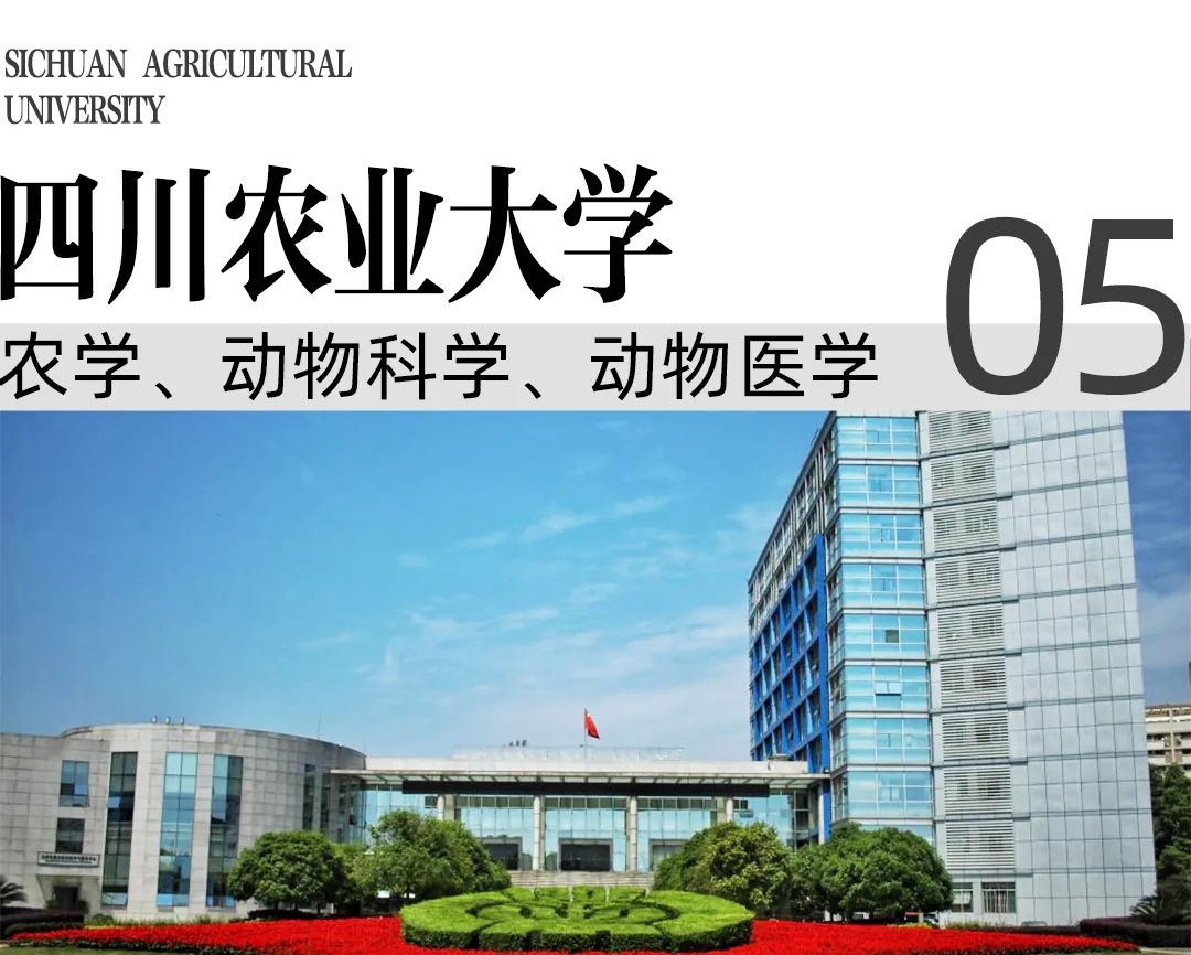 在四川大学报考什么专业好就业,四川的大学值得报考的好专业