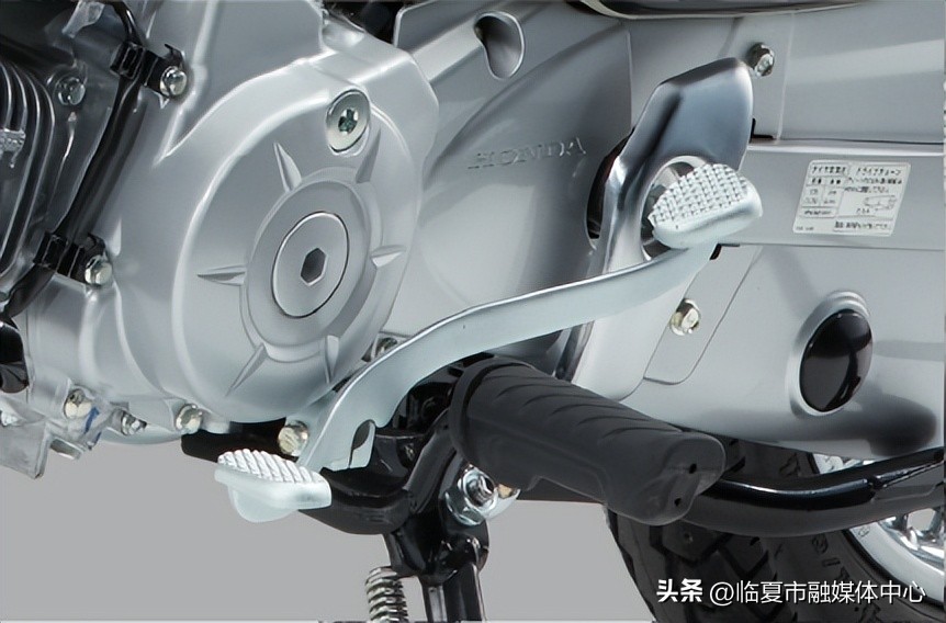 本田幼兽2022什么时间引进,本田幼兽到货了吗