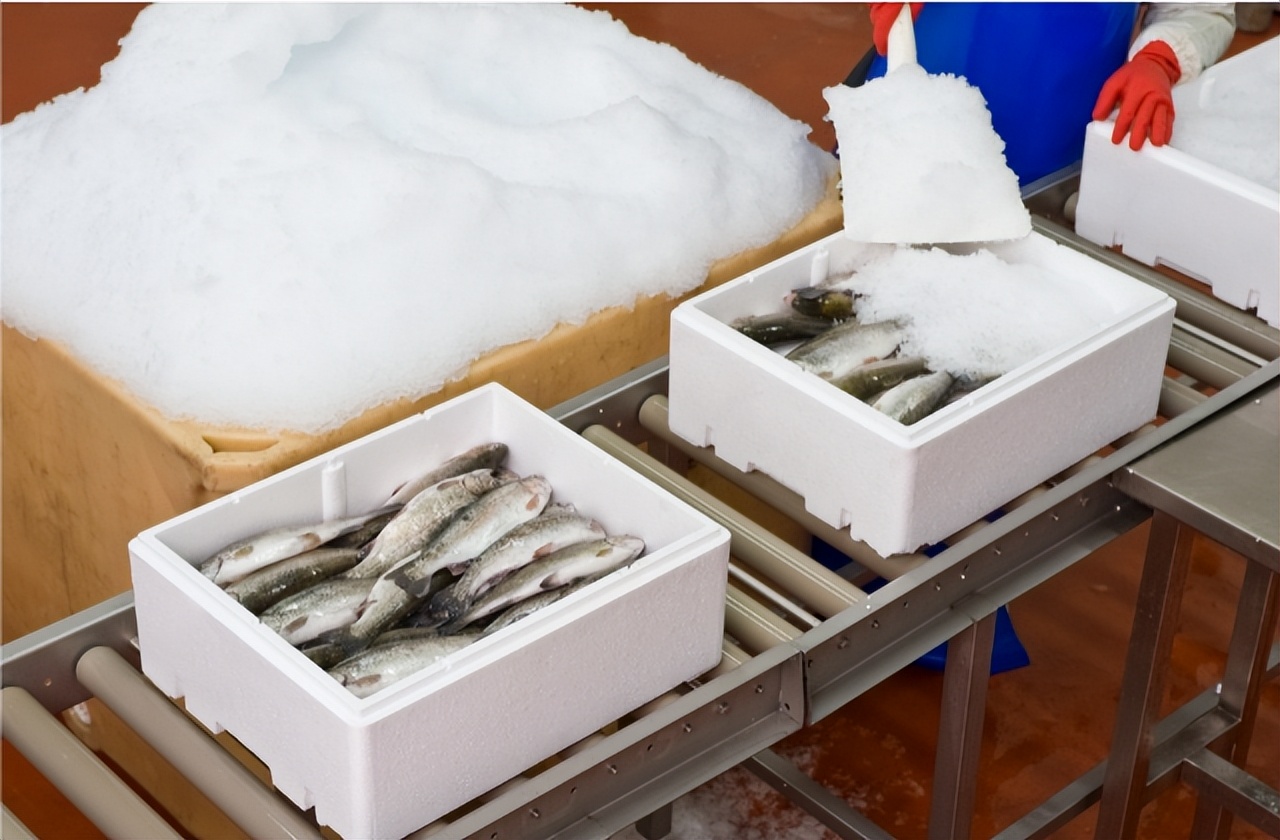 小细节大文明保护海洋礼仪篇,小细节大文明视频