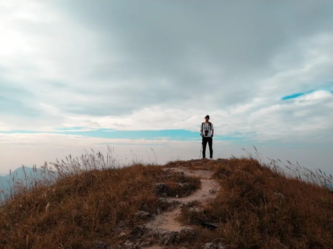 鍖楀ぇ鐜板満鎶㈣,娓呭崕鍖楀ぇ鎶㈣