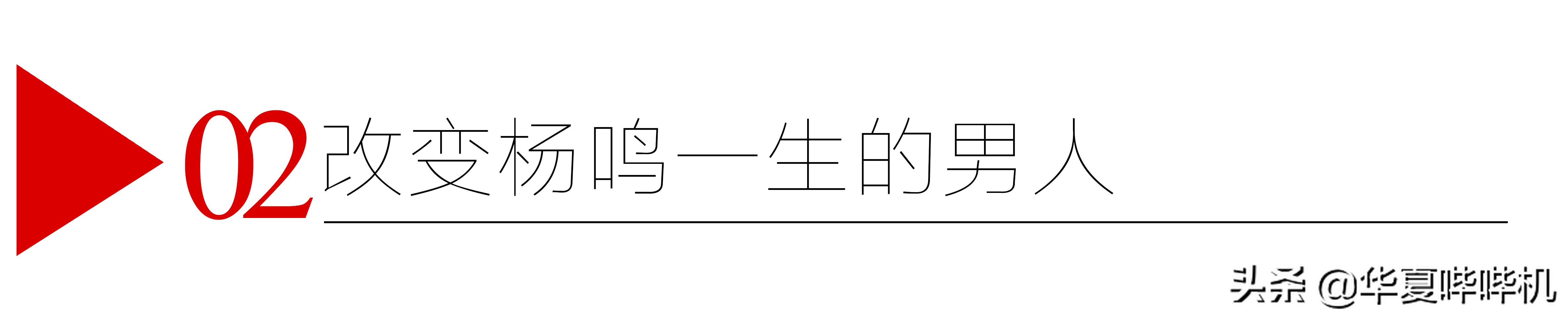 杨鸣什么失误被罚下场,杨鸣为什么不打球了