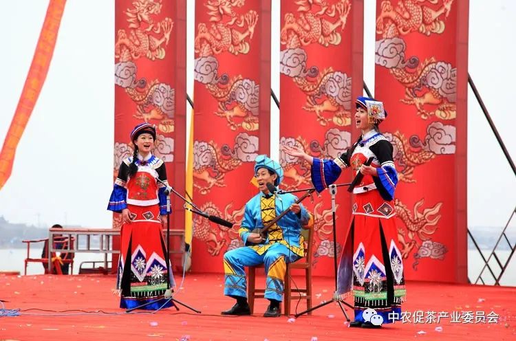 湖北省五峰毛尖绿茶,我为家乡代言五峰茶